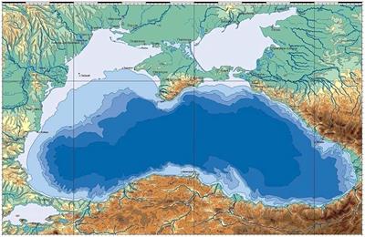 Controls of Multiple Stressors on the Black Sea Fishery